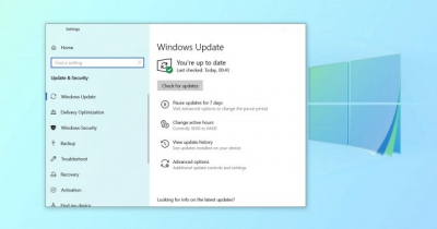 Новая проблема с Windows 10 признана Microsoft